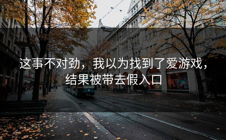 这事不对劲，我以为找到了爱游戏，结果被带去假入口