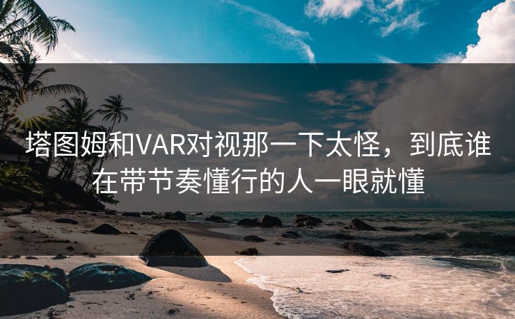 塔图姆和VAR对视那一下太怪，到底谁在带节奏懂行的人一眼就懂